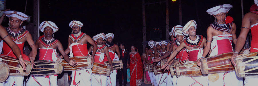 Large number of traditional kandyan dancers and drummers welcoming a Sri Lankan wedding couple
